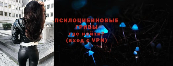 бошки Костерёво