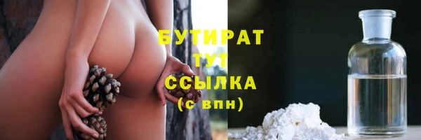 спайс Корсаков