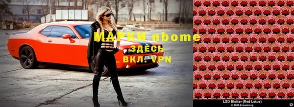 спайс Корсаков