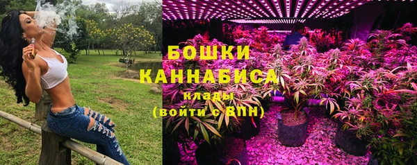 спайс Корсаков