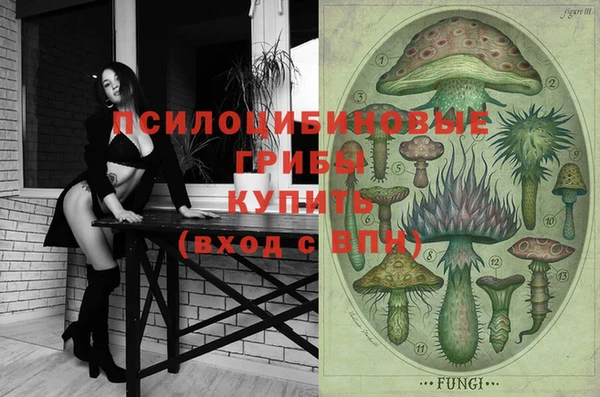 бошки Костерёво