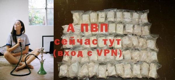 спайс Корсаков