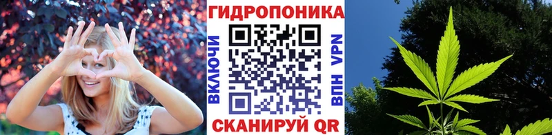 Купить где  Мирный  Бошки марихуана ГИДРОПОН 